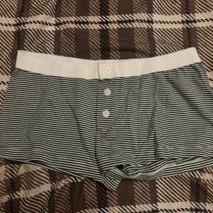 Brandy Melville green white striped shorts